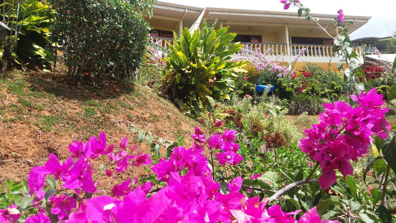 La Princesa Hotel *